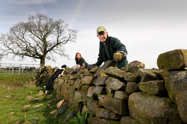 Graham Brown and Megan Jeffery with Sheepdog Jake from the Yorkshire Drystone Walling Guild, Cropper Fold Farm, Eldwick,Bingley