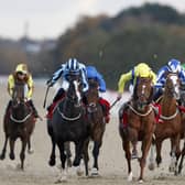 Good decision: Onesmoothoperator (second left) ridden by jockey Ben Robinson on their way to winning the Virgin Bet November Handicap at Newcastle.
Picture: Richard Sellers/PA Wire.