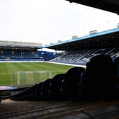 Sheffield Wednesday are preparing to host Cardiff City at Hillsborough. Image: Ben Roberts Photo/Getty Images