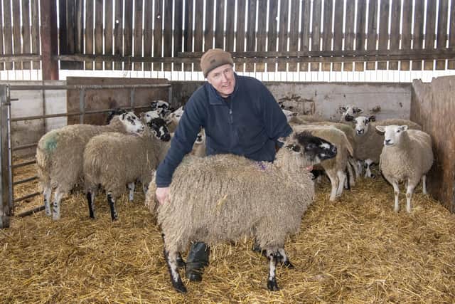 Anthony Bradley at Mearbeck, Long Preston in the Yorkshire Dale with a Masham ewe. He has cattle and sheep on his 90 acre farm - heâ€™s also into regenerative farming and as such has put in hedges and fenced off becks and River Ribble. Picture Tony Johnson. 3 February 2023