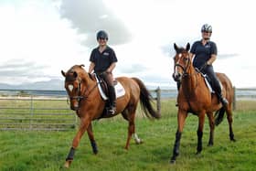 The British Thoroughbred Retraining Centre (BTRC) was established in 1991 to care for the welfare of thoroughbred and retired race horses and became a registered charity in 1994.