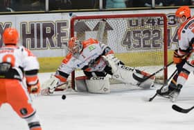 SOLID: Matt Greenfield turned in another excellent performance as Sheffield Steelers kept their winning streak going at Guildford Flames. Picture: John Uwins/EIHL Media.