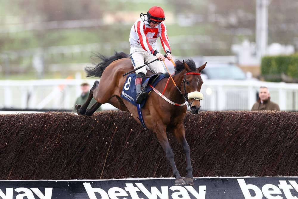 Whack’s back: Paddy Neville’s Grade 1-winning chaser The Real Whacker is bidding for a second win in the Grade 2 bet365 Charlie Hall Chase at Wetherby this afternoon.(Photo by Michael Steele/Getty Images)