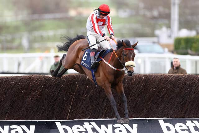 Whack’s back: Paddy Neville’s Grade 1-winning chaser The Real Whacker is bidding for a second win in the Grade 2 bet365 Charlie Hall Chase at Wetherby this afternoon.(Photo by Michael Steele/Getty Images)