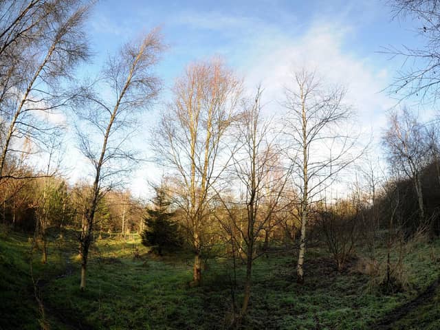 Rotary Wood on Harlow Hill in Harrogate was planted by the community and is well-used and well-loved.