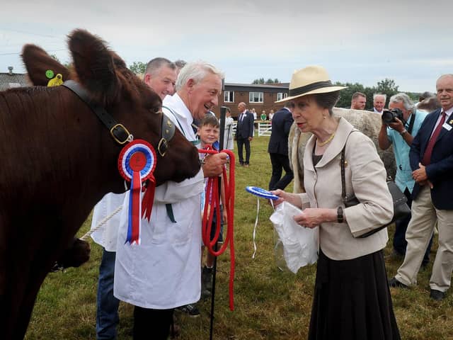 The Princess Royal pictured on the cattle lines at the Great Yorkshire Show last year. Picture by Simon Hulme.