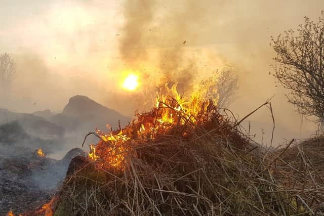 North Yorkshire Fire & Rescue Service released images of wildfires which have broken out in the county in the past year. Image: @NorthYorksFire