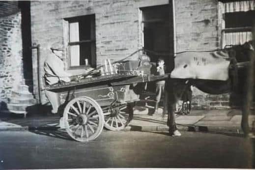 The founder of the farm and milk business, Herbert Southwell with son Thomas Southwell delivering via horse and cart.