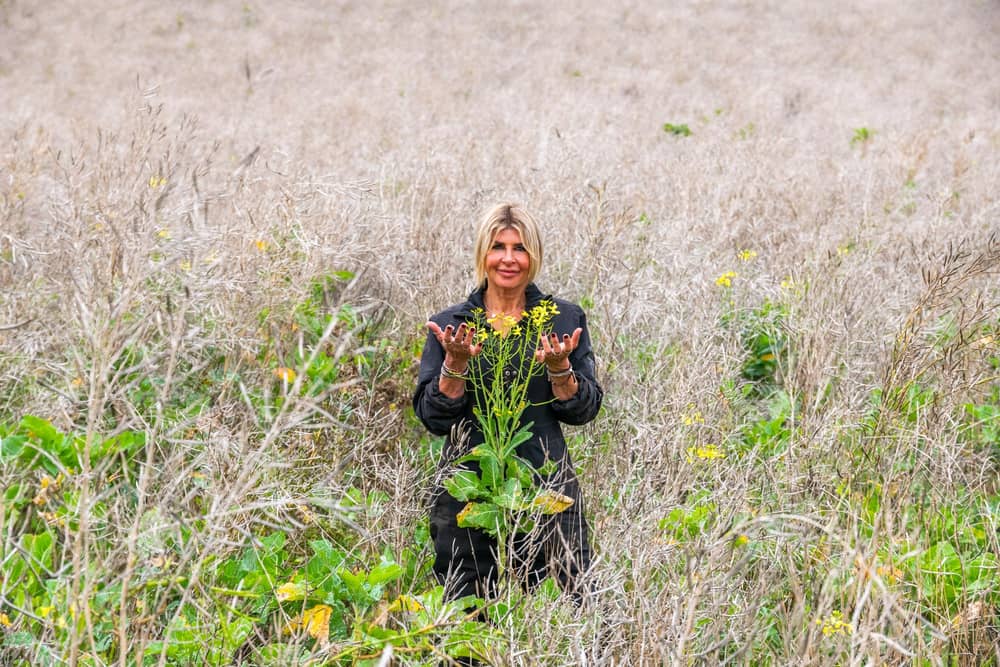 Farmer Deborah Easterby in a field of Wild Bird Food crops to help over wintering birds.