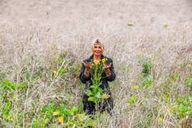 Farmer Deborah Easterby in a field of Wild Bird Food crops to help over wintering birds.