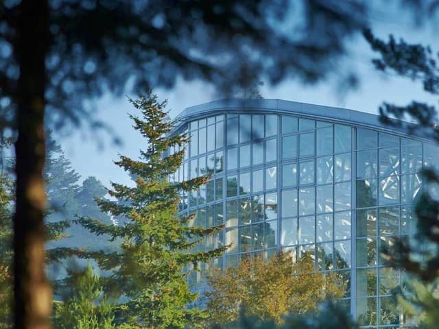 Center Parcs Whinfell Forest: a must for families with children who spend too much time on their devices