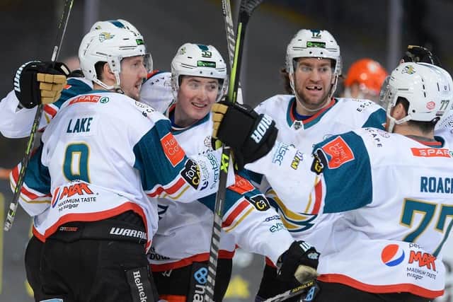 HOME BLOW: Belfast's 4-0 win at the Utilita Arena last Saturday was Sheffield Steelers' ninth league loss on home ice this season. Picture courtresy of Dean Woolley/Steelers Media/EIHL.