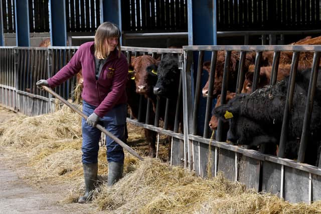 Emma Denton pictured at work at Leven Fields Farm, Middleton on Leven