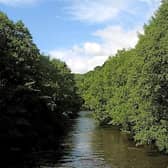 Recent testing of water pollution in the River Nidd has shown the harmful bacteria E. coli is at ‘concerningly high’ levels