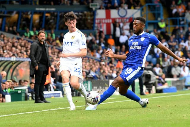 EXCITING TALENT: Leeds United midfielder Archie Gray made his debut