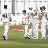 George Hill celebrates a wicket with his Yorkshire team-mates on day one at Hove. (Picture: John Heald Photography)
