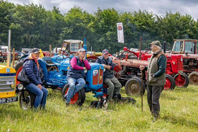 Visitors chat among the vintage tractors.