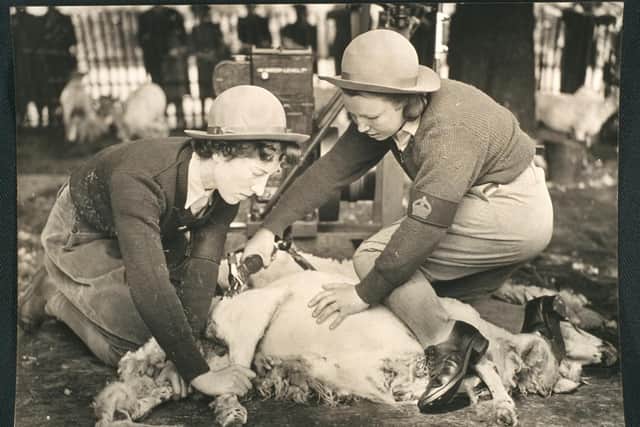 A photograph of two land army women, sheep shearing for the war effort in the London area, taken by a Planet News Ltd photographer on 15 May 1940 and used by the Daily Herald newspaper. © Daily Herald Archive/SMG Images