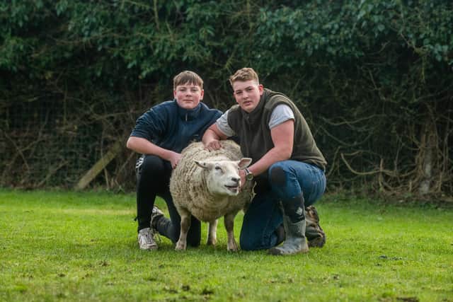 Suzie and Howard Wright, have recently bought a small holding called Little Haven Farm at Haven Side, Hedon, near Hull. The couple along with their children plan to open the farm as a petting and resuce centre. Pictured Billy, 14, with his brother Sam Wright, 20, and one of their sheep.