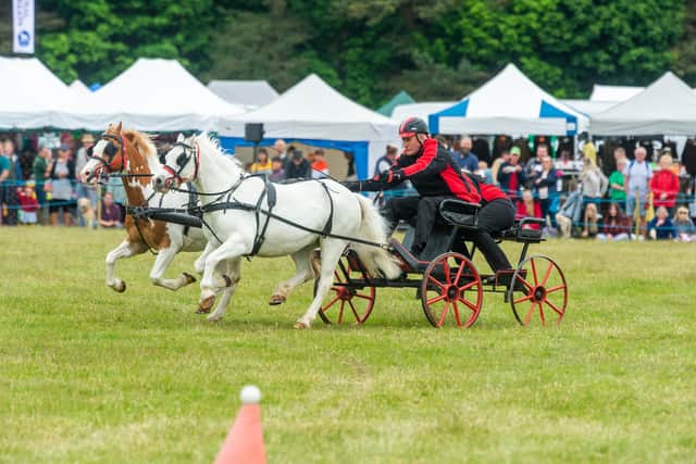 The Yorkshire Game & County Fair 2022, held at Scampston Hall, near Malton. Pictured British Scurry & Trails driving in the Dalby Firewood Arena.
