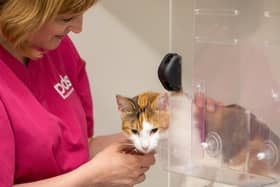 Plans for a new pet hospital in Hull are due to go before councillors next week. Picture: Alex Cantrill-Jones/ACJ Media