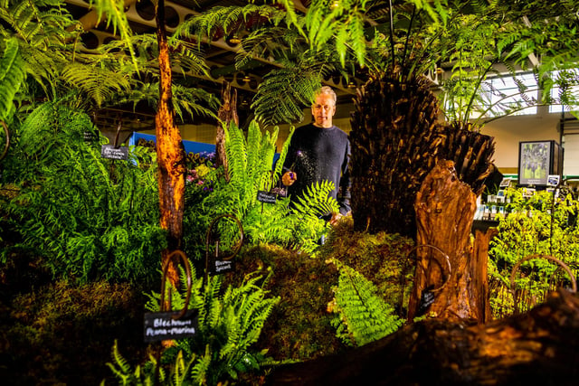 Mark Taylor, of Alchemy Ferns, based at York, busy watering his display. Picture By Yorkshire Post Photographer,  James Hardisty.