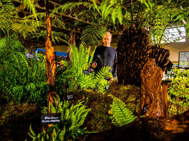 Mark Taylor, of Alchemy Ferns, based at York, busy watering his display. Picture By Yorkshire Post Photographer, James Hardisty.