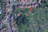 An aerial view Hempland Lane Allotments Community Wildlife Area, in York.