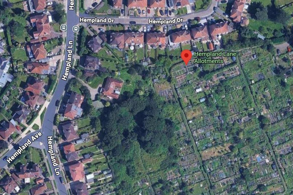Yorkshire allotments where 'nature can thrive' could get protected status