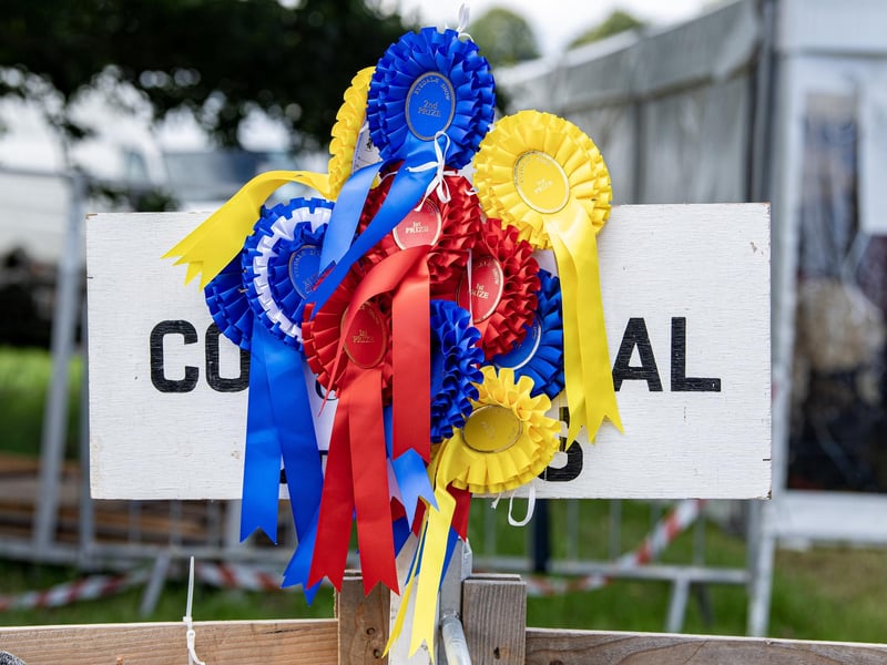 Rosettes at the sheep pens