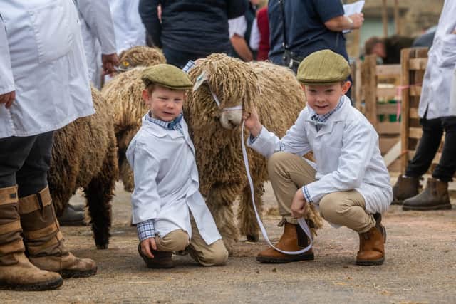 Pictured Brothers Benjamin, 4, and Sam, 8, Brook, from Selby, with a Lincoln Longwool sheep. Image: James Hardisty