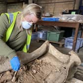 WYAS archaeologist Kylie Buxton working on the lead coffin and the Roman woman’s remains inside following the excavation on site in 2022.