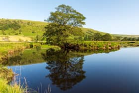 The River Wharfe is just one that CPRE North Yorkshire is aiming to protect