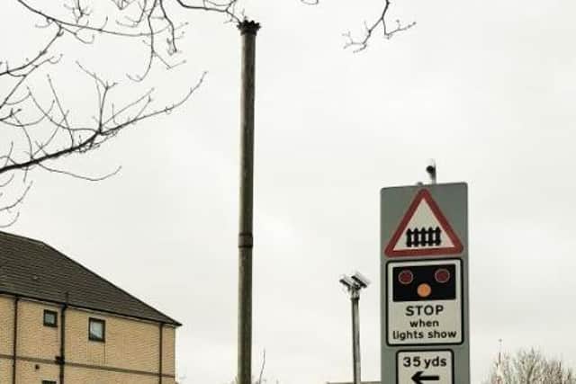 The stink pipe by the Cherry Tree Lane crossing has a distinctive crown
