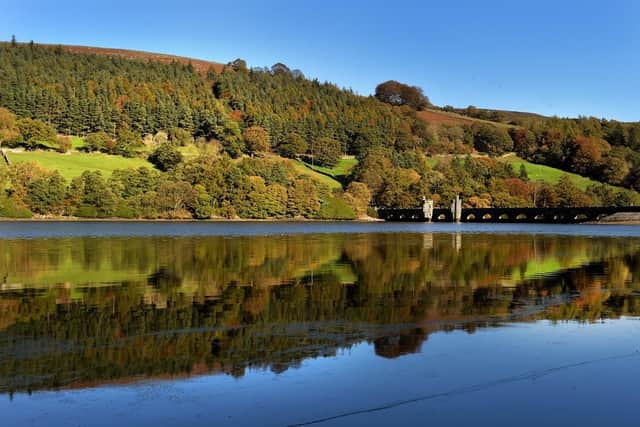 Reflected autumn colours in Gowthwaite Reservoir, Niddledale. (Pic credit: Bruce Rollinson)