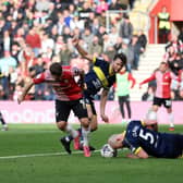 Middlesbrough denied Southampton victory late on. Image: Steven Paston/PA Wire