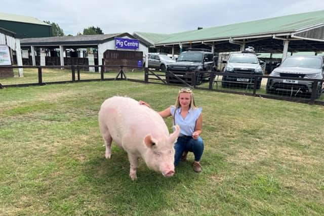 In April 2022 the Large White Pig breed, known internationally as ‘The Yorkshire Pig’, was added to the highest Priority category on the RBST’s annual Watchlist after the continuation of the breed’s decline in numbers.