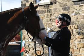 The South Yorkshire Police Mounted Section, Cudworth, Barnsley. PC Dave Driver with Henry in the stables. Picture by Simon Hulme.