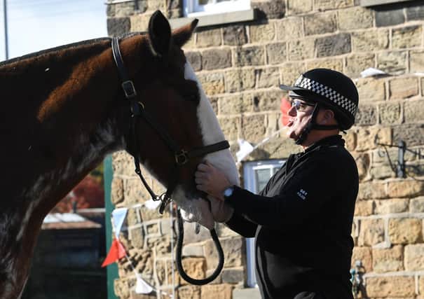 The South Yorkshire Police Mounted Section, Cudworth, Barnsley. PC Dave Driver with Henry in the stables. Picture by Simon Hulme.