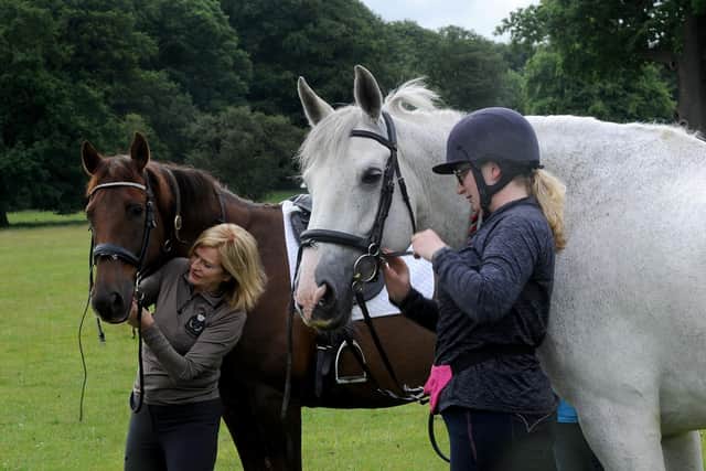 A recent collaboration between mental health charity “Mind in Bradford” and Riding for the Disabled Association (RDA) involved participants spending time with horses to evaluate the mental health benefits that this can bring.