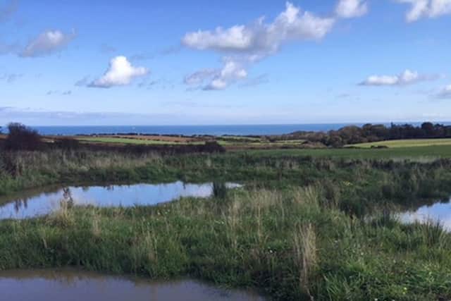 Mulgrave Estate has created a series of wetlands across its land to encourage more wildlife such as birds, dragonflies, damselflies, beetles, backswimmers and pond skaters.