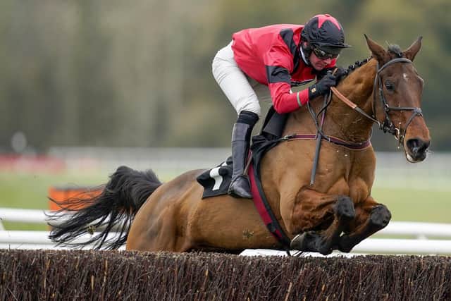Derek Fox riding Ahoy Senor clear the last to win The Ladbrokes John Francome Novices' Chase at Newbury Racecourse on November 27, 2021 in Newbury, England. (Picture: Alan Crowhurst/Getty Images)