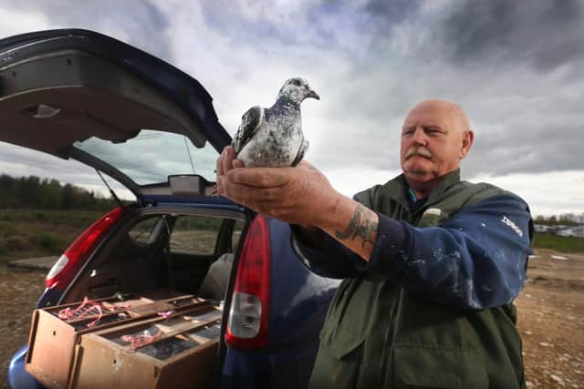 Picture: Lorne Campbell / GuzelianFormer soldier Graham Prime of Chesterfield, Derbyshire, takes a closer look at one of the 26 birds he released from near Worksop,Nottinghamshire, from where they fly home covering ten miles.