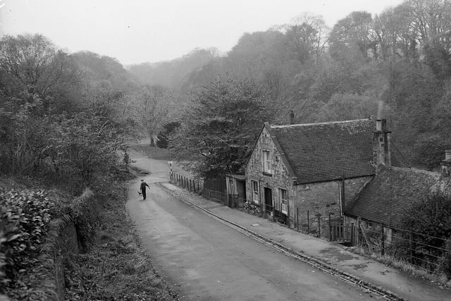 Cockle Mill on the Banks of the River Almond at Cramond in November 1963.