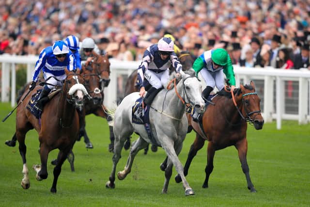 Happy days: Lord Glitters ridden by jockey Daniel Tudhope (grey, centre) winning at Ascot in 2019. Trainer David O'Meara has four horses in the Balmoral Handicap on Saturday.