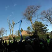 8 March 2018....... Tree protests continue on Kenwood Road in the Nether Edge area of Sheffield. Picture Scott Merrylees