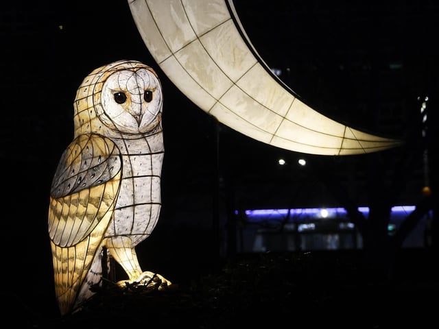 The Awakening light festival in Hull. Lantern Company's Nature Nocturnal captured by The Yorkshire Post photographer Jonathan Gawthorpe.