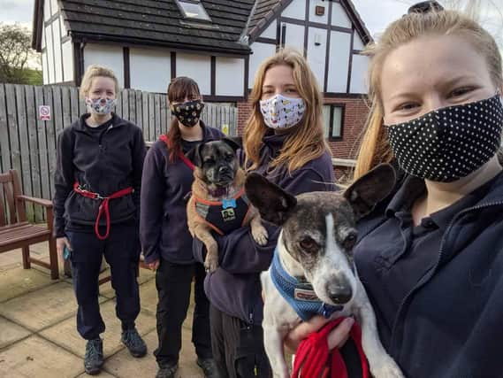 Megan Rattray (second from left) and the team of RSPCA Leeds & Wakefield
