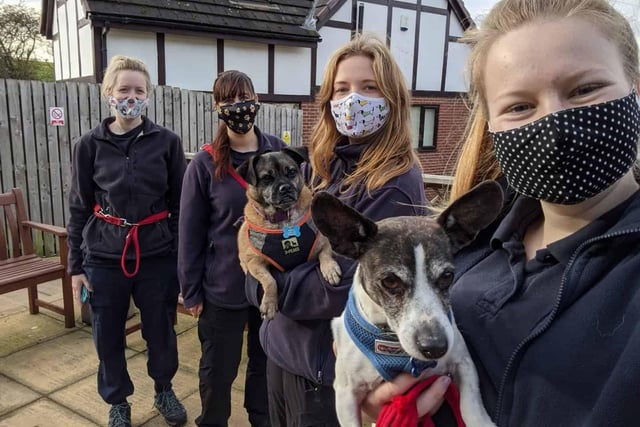 Megan Rattray (second from left) and the team of RSPCA Leeds & Wakefield