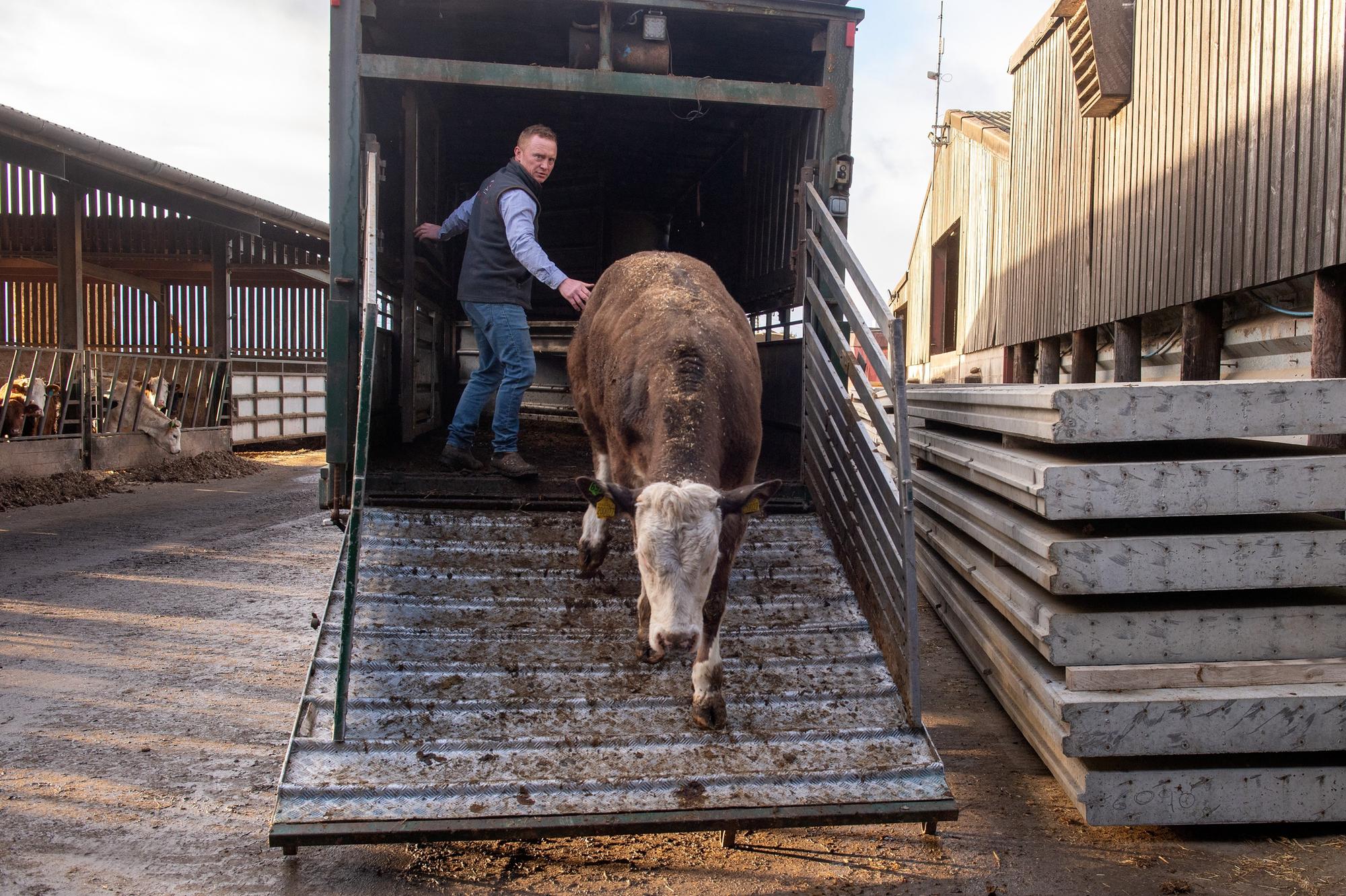 Farm of the Week: Family who used to run their Yorkshire village pub ...